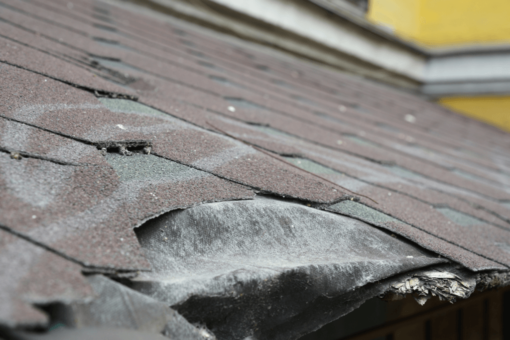 OKC Storm And Animal Roof Damage Repair - Wilkerson Roofing And Construction